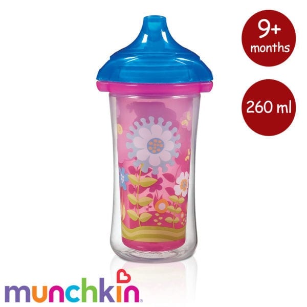 Click Lock Insulated Sippy Cup