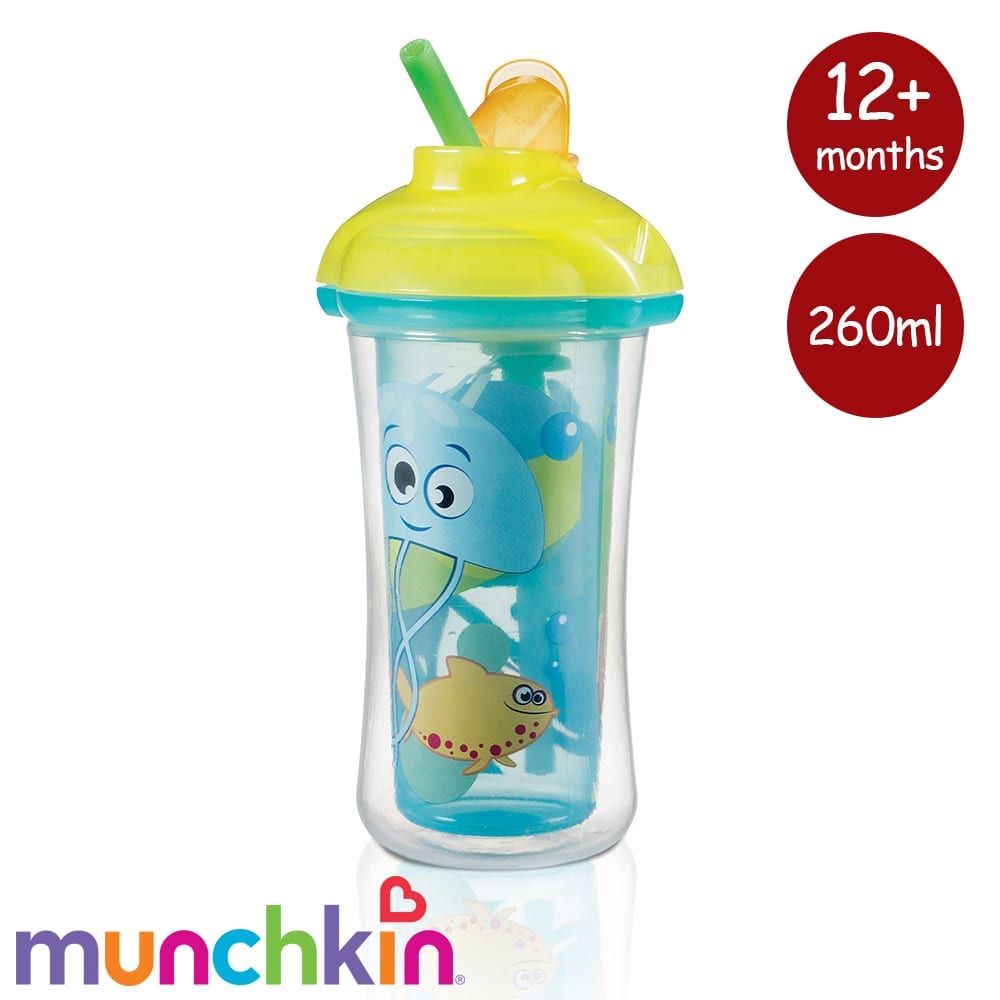 Munchkin Click Lock Insulated Straw Cup