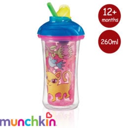 Click Lock Insulated Straw Cup