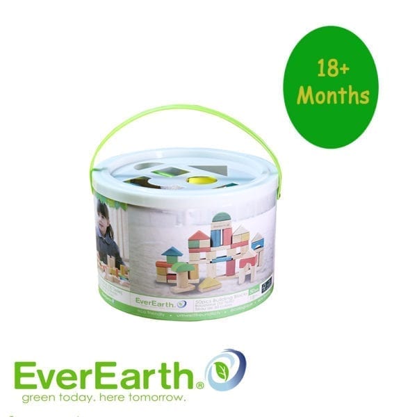 EverEarth 50 Pcs Building Blocks Set with bucket &shape sorting lid