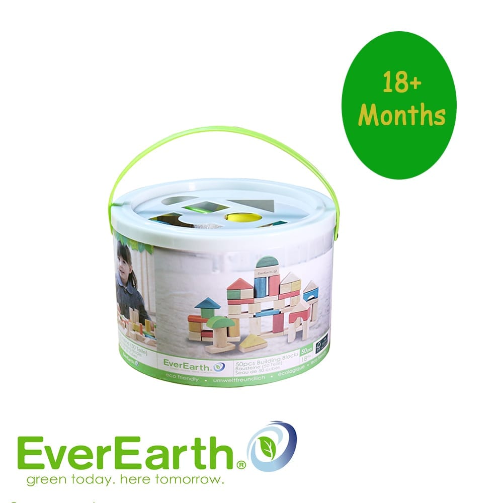 EverEarth 50 Pcs Building Blocks Set with bucket & shape sorting lid