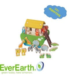 Ever Earth Shape Sorting Noah's Ark